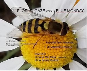 Știri, evenimente, comunicate