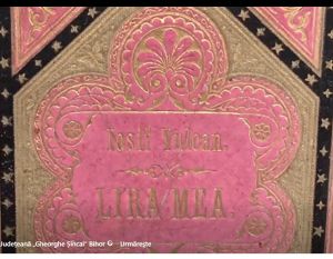 Știri, evenimente, comunicate